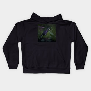 Tricolored Heron Kids Hoodie